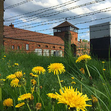 人間のエゴについて改めて考えさせられました