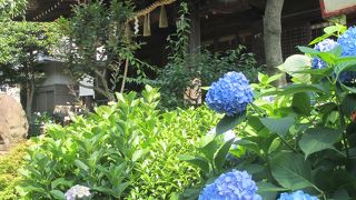 あじさいの名所