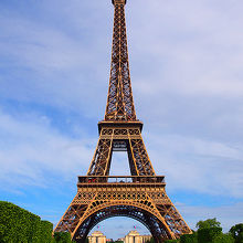 芝生や緑と一緒に撮影すると美しくとれます。