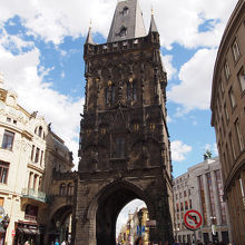 堂々たるこの姿には圧倒されます。