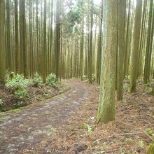葛バス停から道路が付いている。テニスコート辺りから林道になる