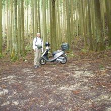 ここまでくれば山頂まで１．３ｋｍ。