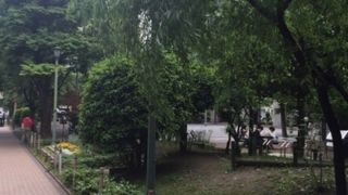 ビジネス街の中の緑