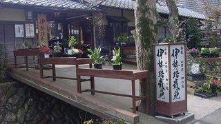 季節の花を見るのが楽しい