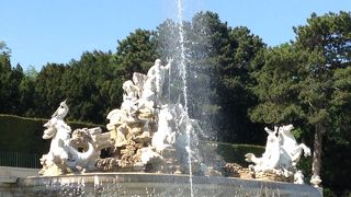 映えていました