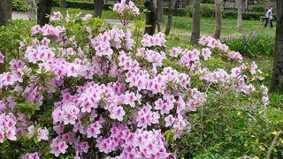 思ったより良かった