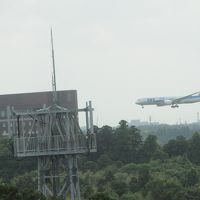 着陸する飛行機がよく見えます。
