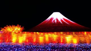 ライトアップされたトンネルに圧巻★