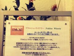 Opera Home Apartment 写真