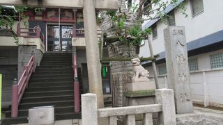 イチョウの大木が見事に