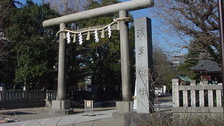 境内にいろいろな石碑があります