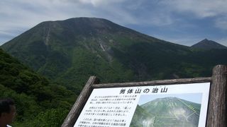 『ゆば焼き』も美味しかったです