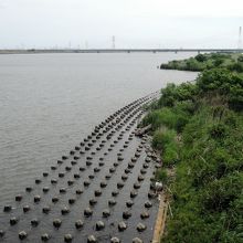 利根川 （トネガワ）