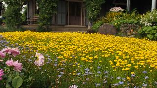 花々が美しく洋館を彩っていました