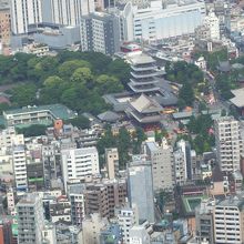 展望デッキから見た浅草寺