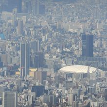 展望回廊から見た東京ドーム