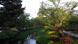 早朝鑑賞空いていていいですよ！