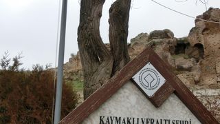 １度見れば良いかな