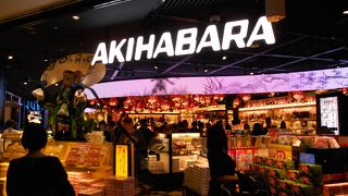外国人でにぎわうAKIHABARA　（Fa-So-La TAX FREE AKIHABARA）