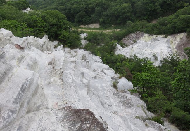 屯鶴峰 クチコミ アクセス 営業時間 香芝 王寺 大和高田 フォートラベル 屯鶴峰 クチコミ アクセス 営業時間 香芝 王寺 大和高田 フォートラベル