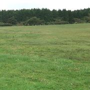 広々とした、芝生の広場。