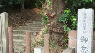 等々力不動尊の向かい