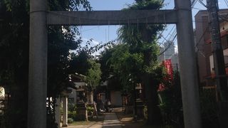 くじの神様です