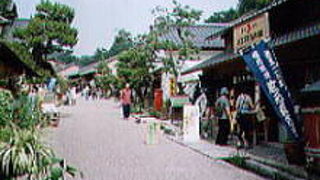 楽しいミュージアムパークです