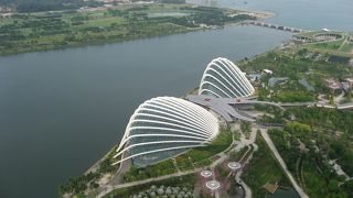 高いところから眺める景色はすばらしく素敵！