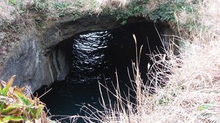 遊覧船に乗るのがおススメ！！