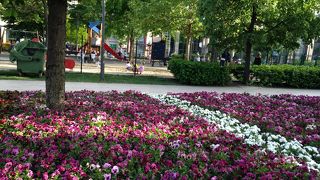 夜のピクニック