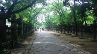 ずらりと並ぶ石灯篭