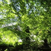 静かな山寺　新緑の癒し