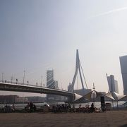 ロッテルダムのデザインブリッジ　エラスムス橋