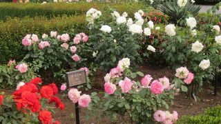 新宿の癒しスポット