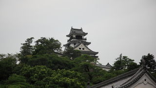 お城の前には蓮の花が咲いていました