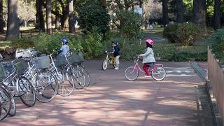 レンタサイクルとサイクリングコース
