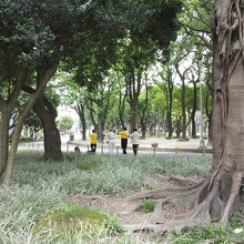 太極拳をしている人