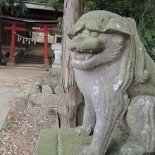 髪型がいいです