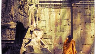 木に見入ってしまいます