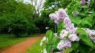 札幌の自然を満喫
