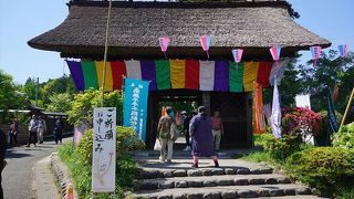 ツツジのお寺