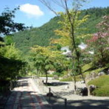 興禅寺・昇龍の庭