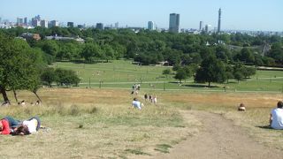 小高い丘の公園