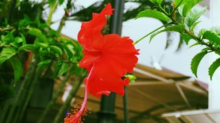 暇つぶしに行ってみたら暇でした‥