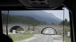 どこへ行くにもこのルートは外せません。