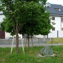 蕪村之顕彰碑　蕪村公園内にあります