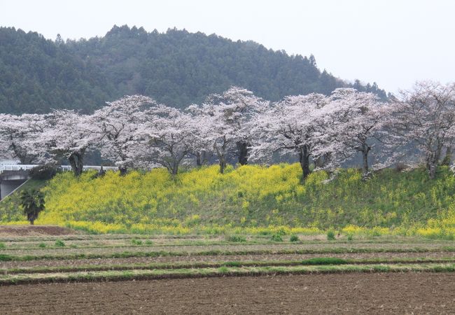 喜連川温泉 クチコミ アクセス 営業時間 氏家 高根沢 フォートラベル 喜連川温泉 クチコミ アクセス 営業時間 氏家 高根沢 フォートラベル