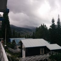 こんな眺望です