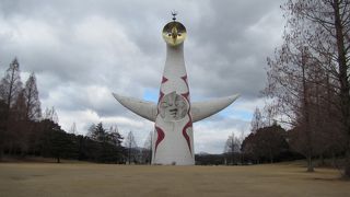 ソラードから公園展望